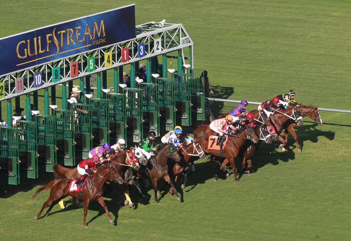 Gulfstream Park Replay Show Sun, Sept 8, 2024