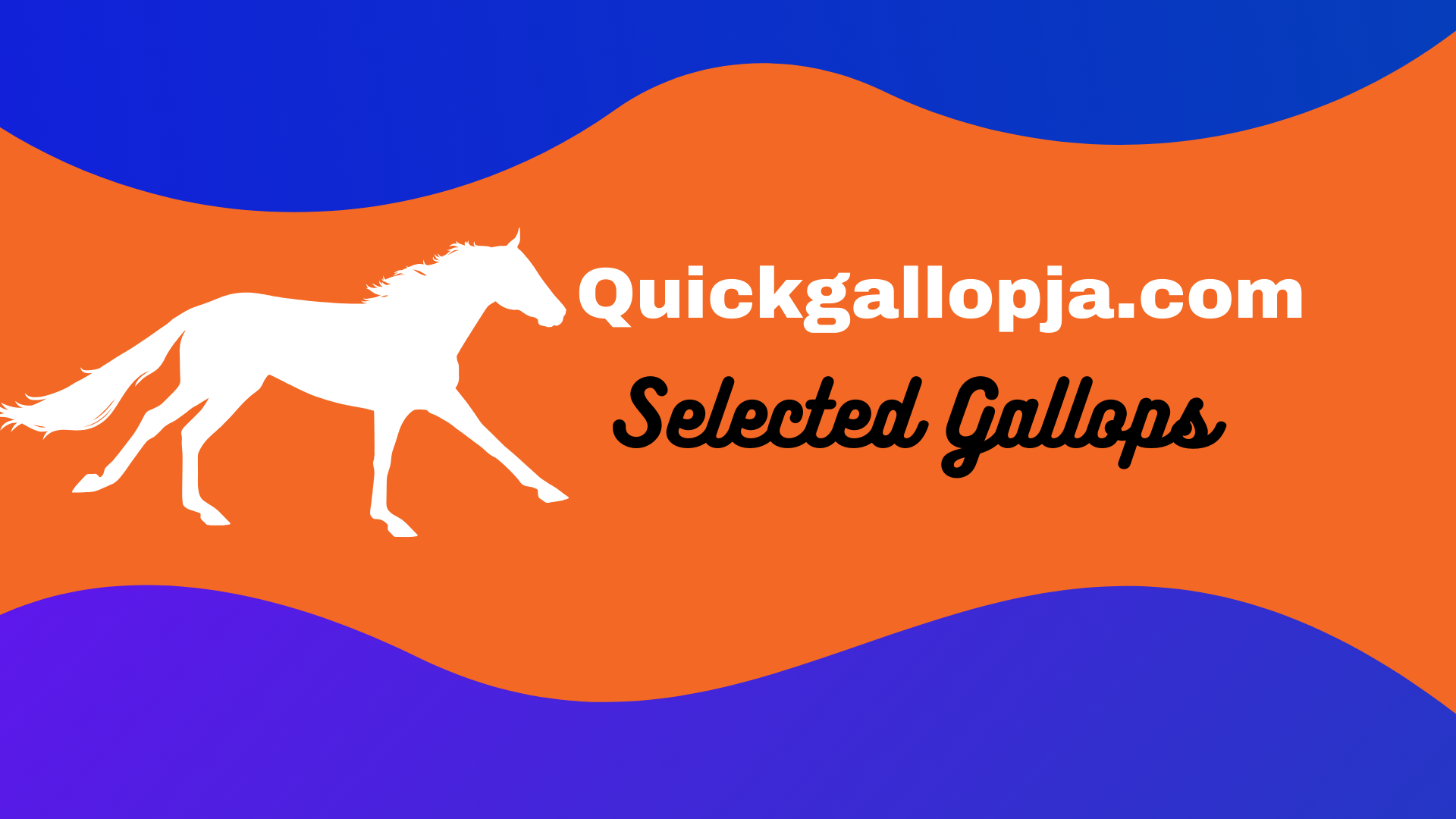 Selected Gallops | Exercise For 3 First Timers On Sun, June 2, 2024 ...