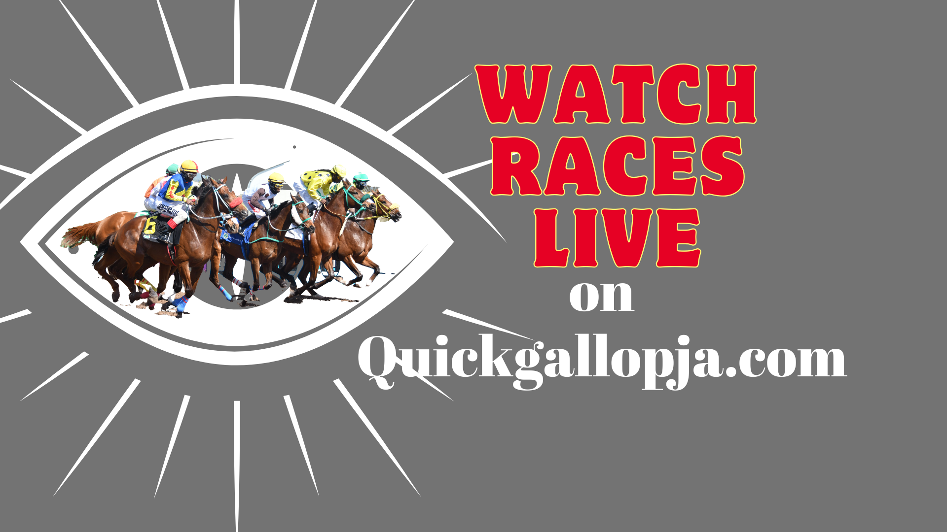 Sale Races Live Watch Races Live On Quickgallopja.com | Sat, Aug 31, 2024 ...