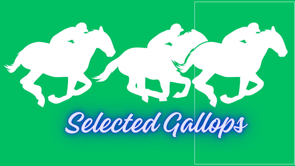 Selected Gallops | Exercise For Monday, December 2, 2024 ...