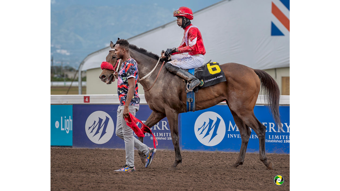 Shany Star A Winner 2nd Time Out - Quickgallopja.com