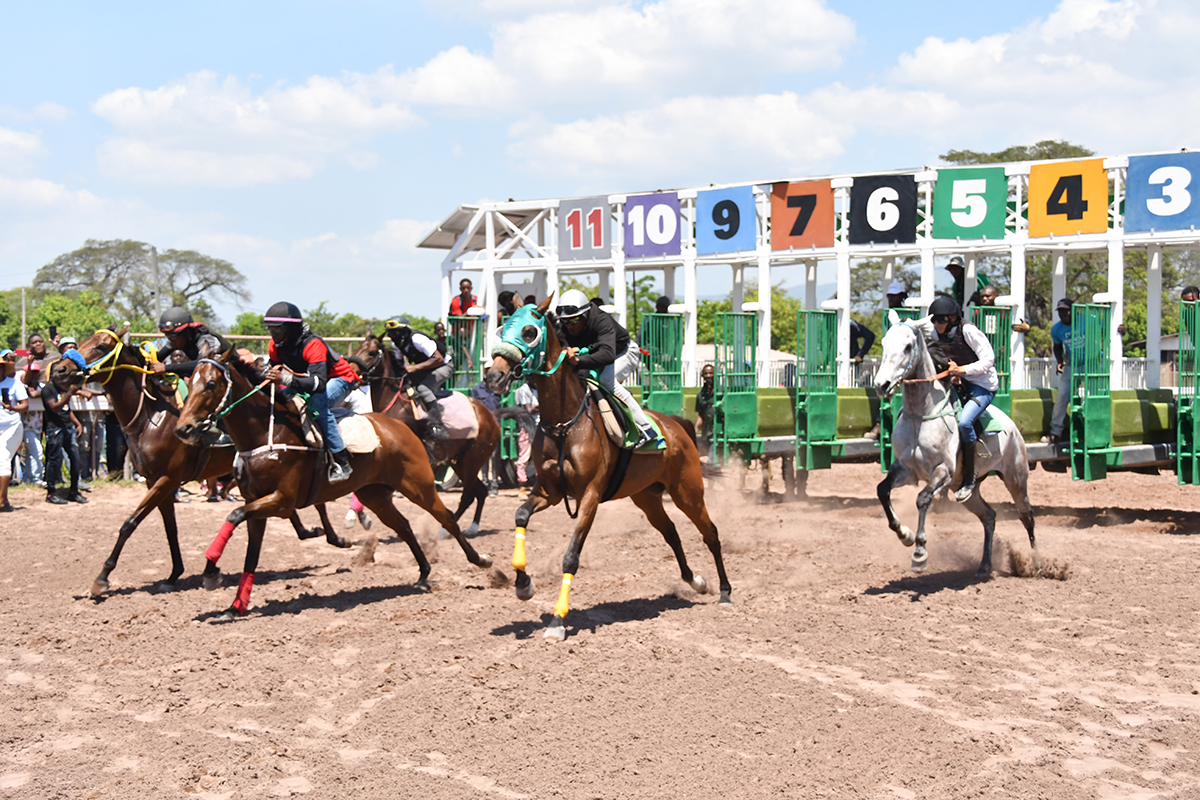 Watch Gate Tests By 29 Applicants Vying To Enter Jockeys’ School ...