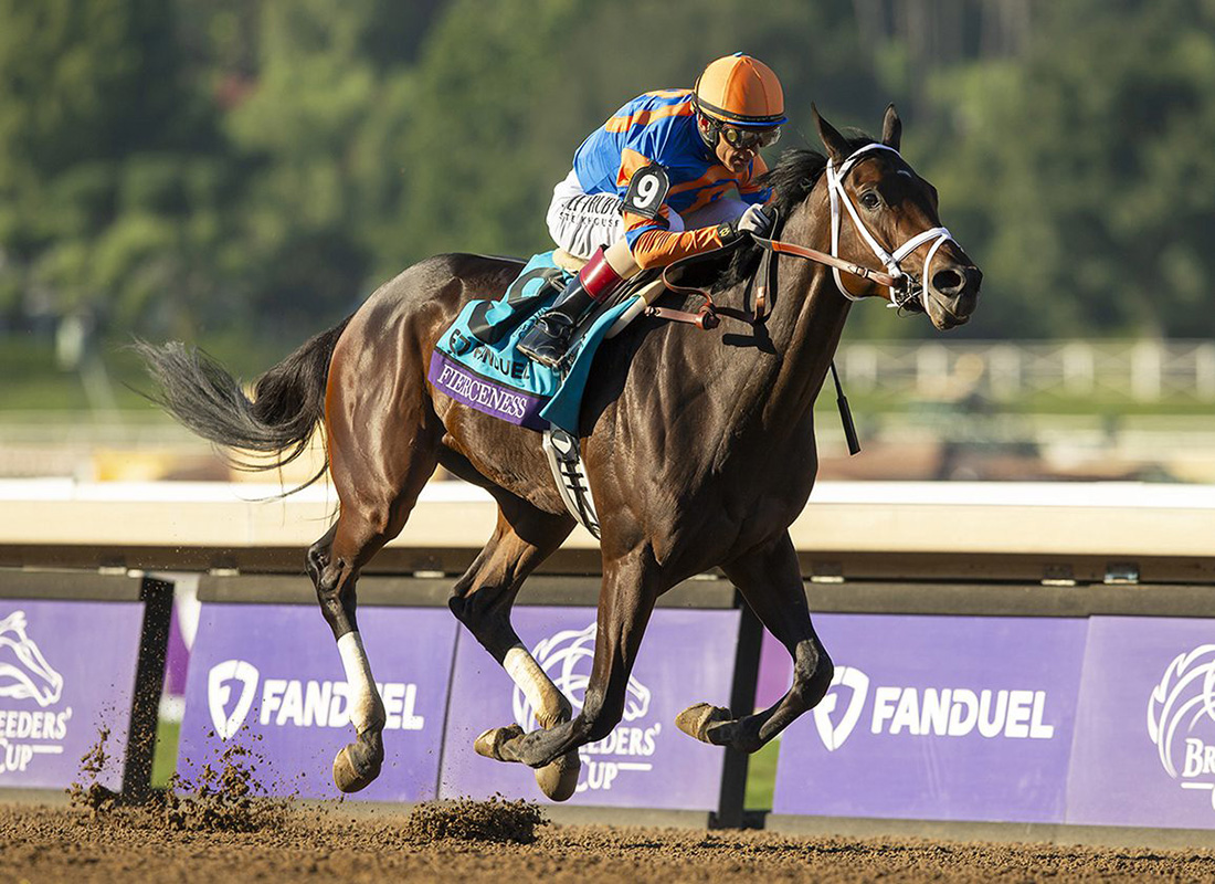 Breeders' Cup Classic 2024 Updated Odds