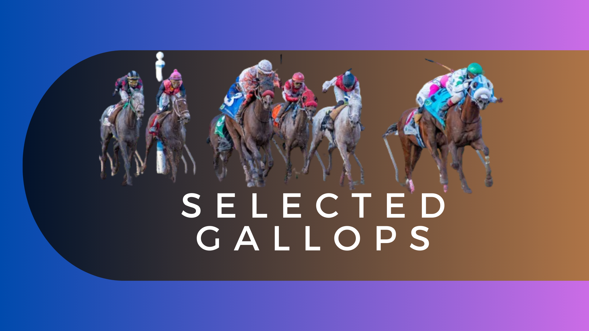 Selected Gallops | Exercise For Monday, September 23, 2024 ...