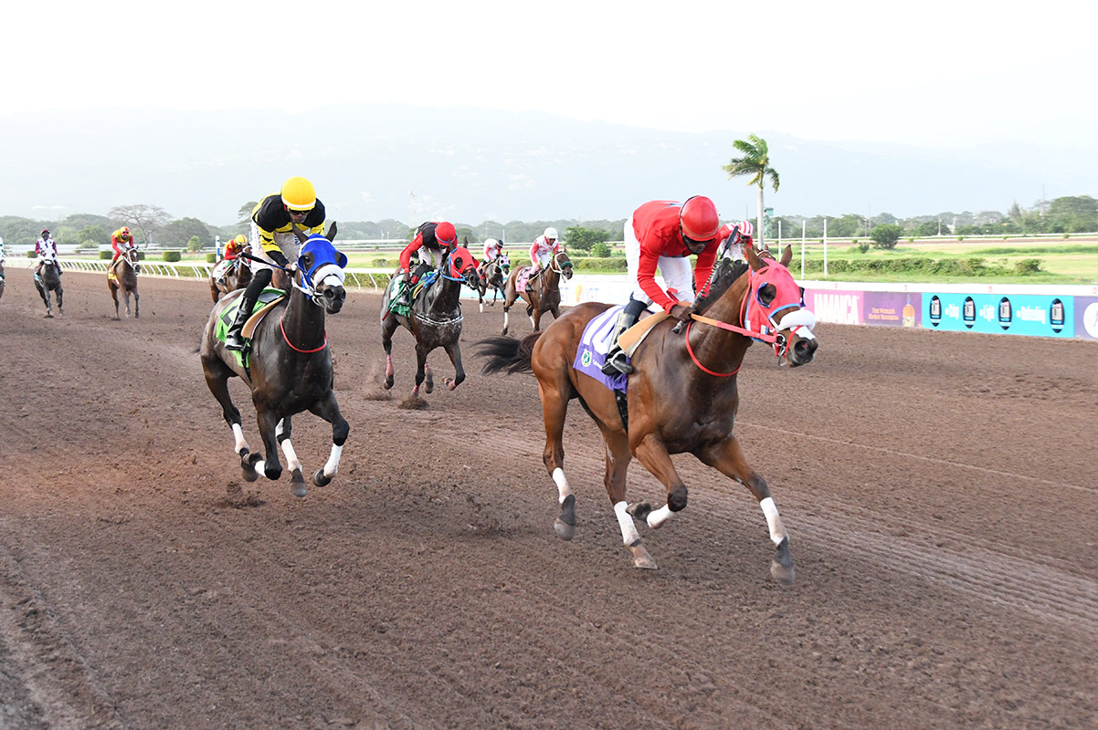 Easy To Watch Replay - Sat, July 27, 2024 - Quickgallopja.com