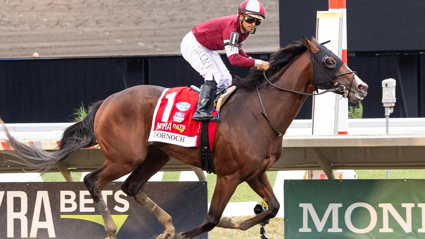 US RACING Watch Dornoch Win The 2024 Haskell Stakes