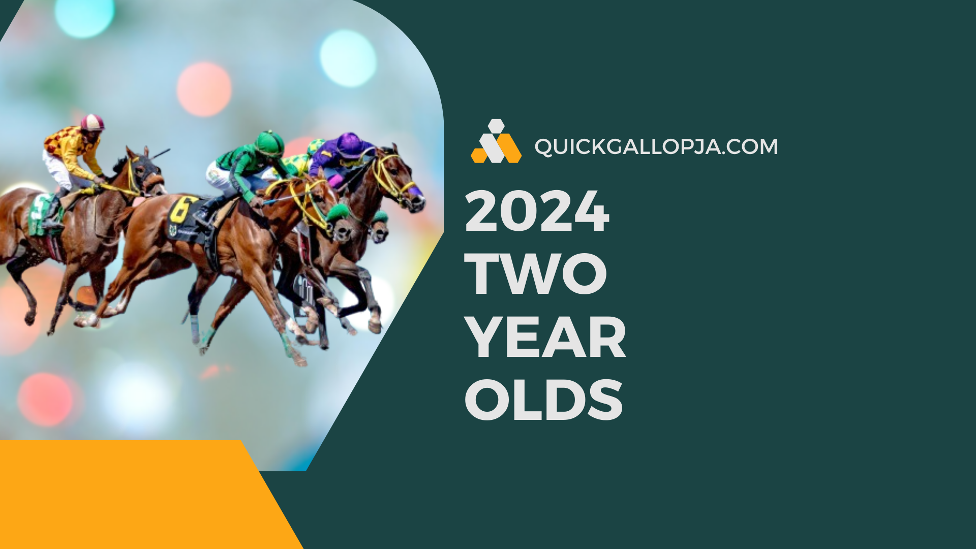 selected-gallops-exercise-for-two-year-olds-quickgallopja