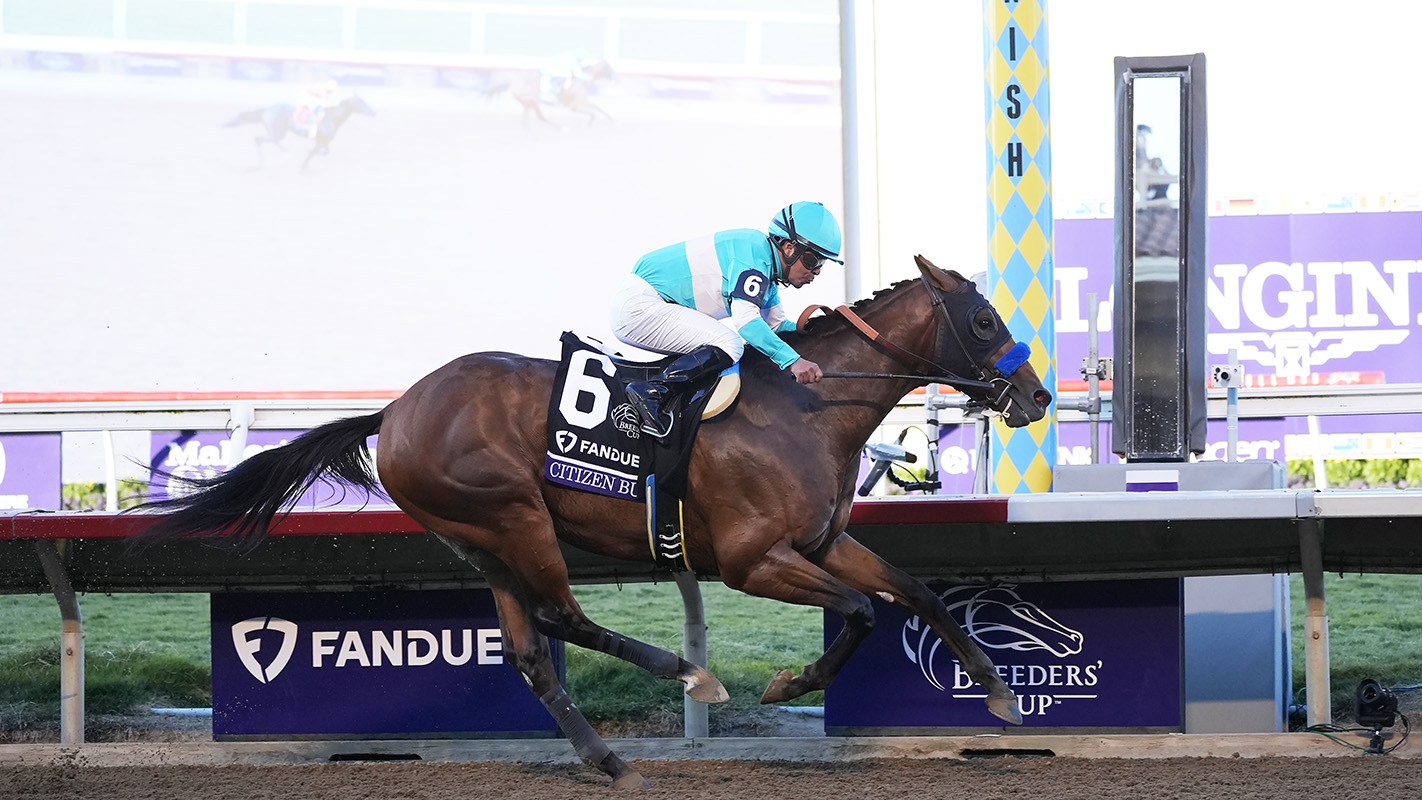 Citizen Bull Wins 2 million Juvenile in Breeders' Cup Watch Replay