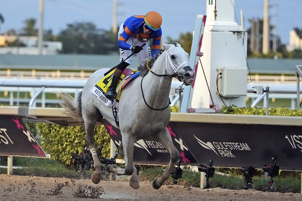 US RACING White Abarrio Wins 2025 Pegasus World Cup Watch Replay