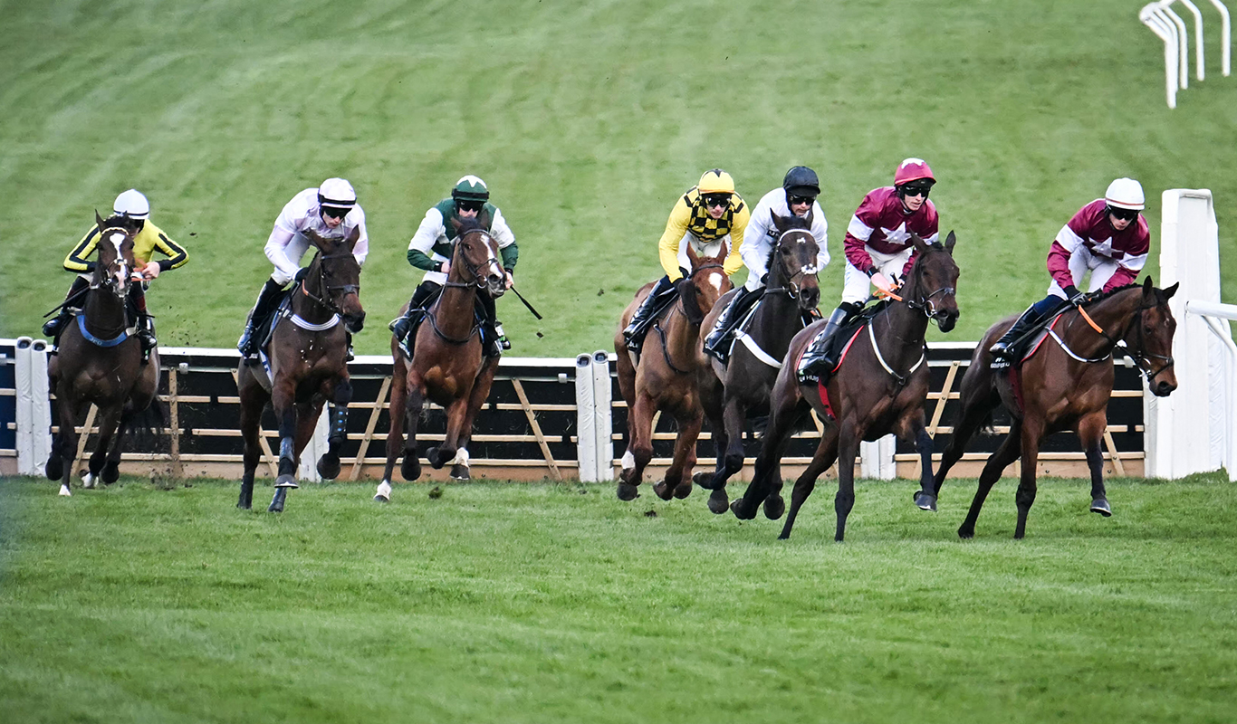 #UK RACING: Cheltenham Festival - 2025 Day 1 Replays - Quickgallopja.com