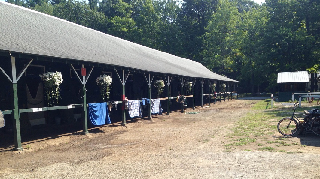 #US RACING: Barn At Saratoga Quarantined Due To Strangles ...