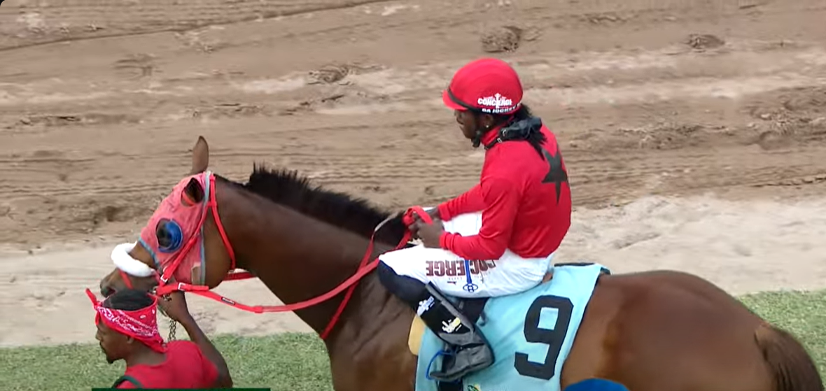 Chocomo Returns To Form In Sun June 8, 2025, 9th - Quickgallopja.com