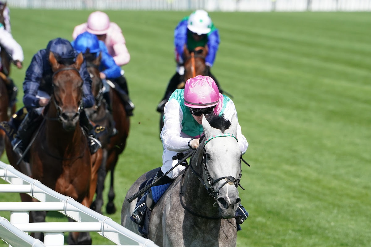 ROYAL ASCOT 2025: Watch Field Of Gold Win The St James’s Palace Stakes ...