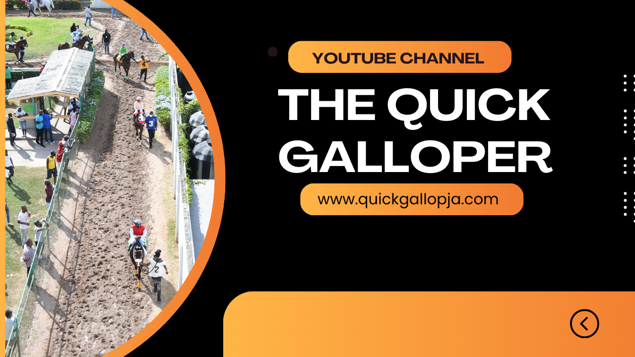 New Facebook Page For The Quick Galloper Quickgallopja new-facebook-page-for-the-quick-galloper-quickgallopja