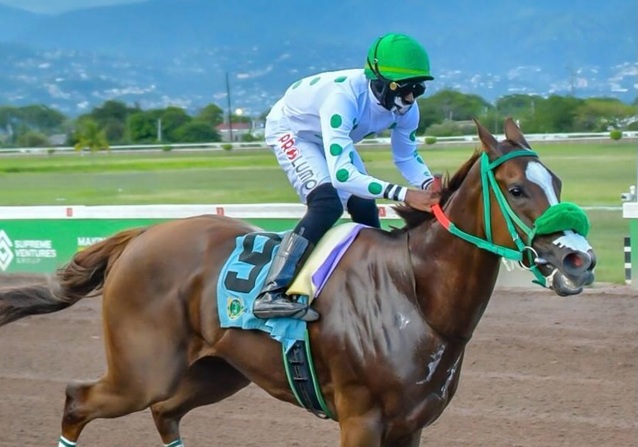 Watch All Races – Sunday, April 26, 2026 - Quickgallopja.com