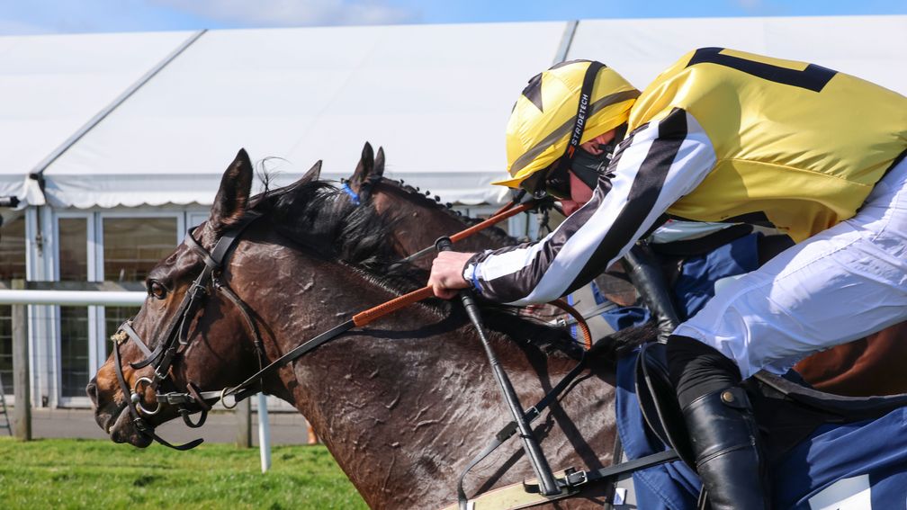 Uk Rookie Racing Cross UK RACING: Crokes Cross 300-1 Winner At Kelso - Quickgallopja.com