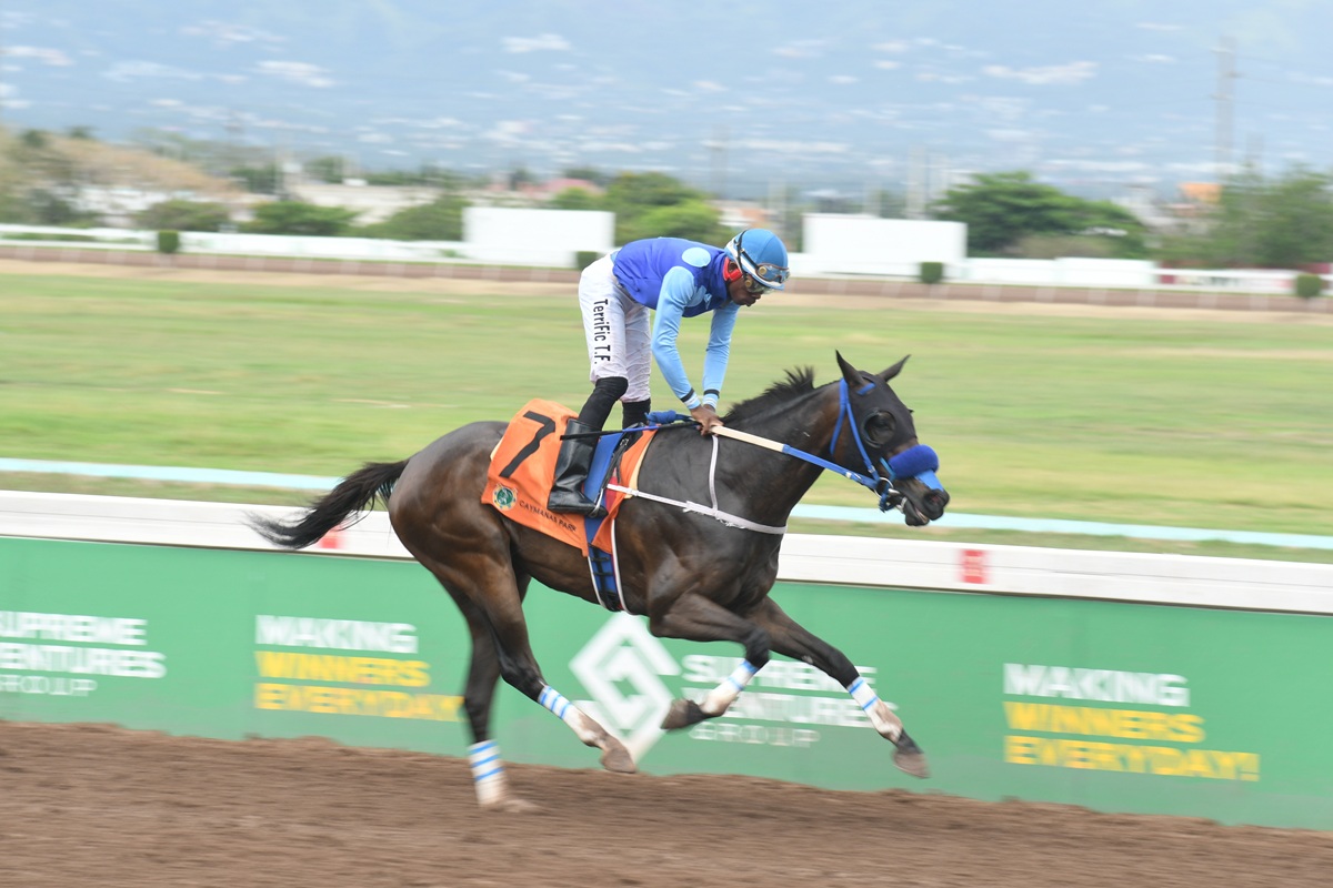 Watch All Races – Saturday, April 4, 2026 - Quickgallopja.com