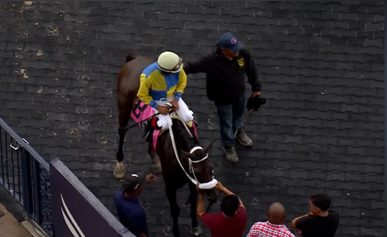 Watch Another Gulfstream Park Success For Anthony Thomas, Rohan ...