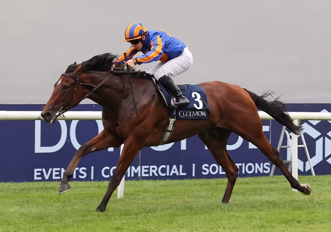 Constitution River - Ryan Moore